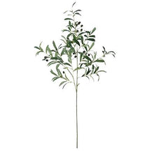 Load image into Gallery viewer, 20&quot; Olive Stem
