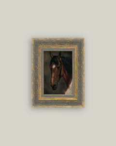 Framed Horse Portrait Print