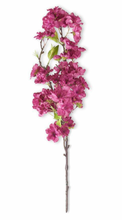 Load image into Gallery viewer, 19.5 Fuschia Cherry Blossom
