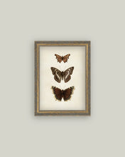 Load image into Gallery viewer, Framed Three Butterflies Print
