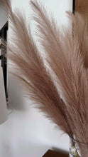 Load and play video in Gallery viewer, Faux Brown Pampas Grass
