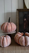 Load and play video in Gallery viewer, Flocked Resin Pumpkins (3 sizes)
