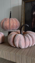 Load and play video in Gallery viewer, Flocked Resin Pumpkins (3 sizes)
