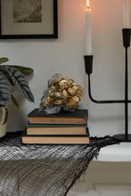 Load image into Gallery viewer, The Reaper - Glass Skull Pot
