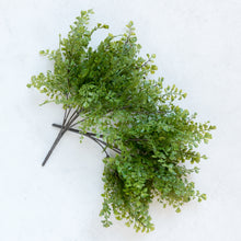 Load image into Gallery viewer, 12&quot; Parsley Stem
