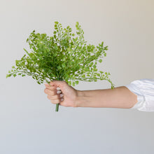 Load image into Gallery viewer, 12&quot; Parsley Stem
