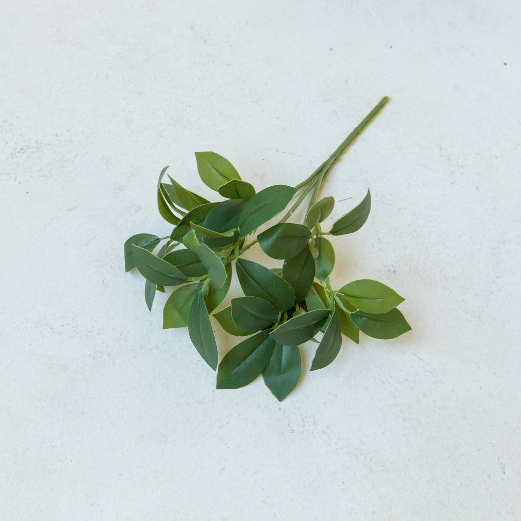 Lemon Leaf Stem