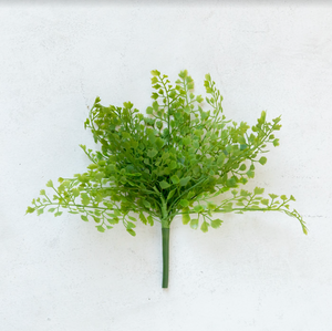 12" Parsley Stem