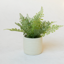 Load image into Gallery viewer, Creamy Striped Pot
